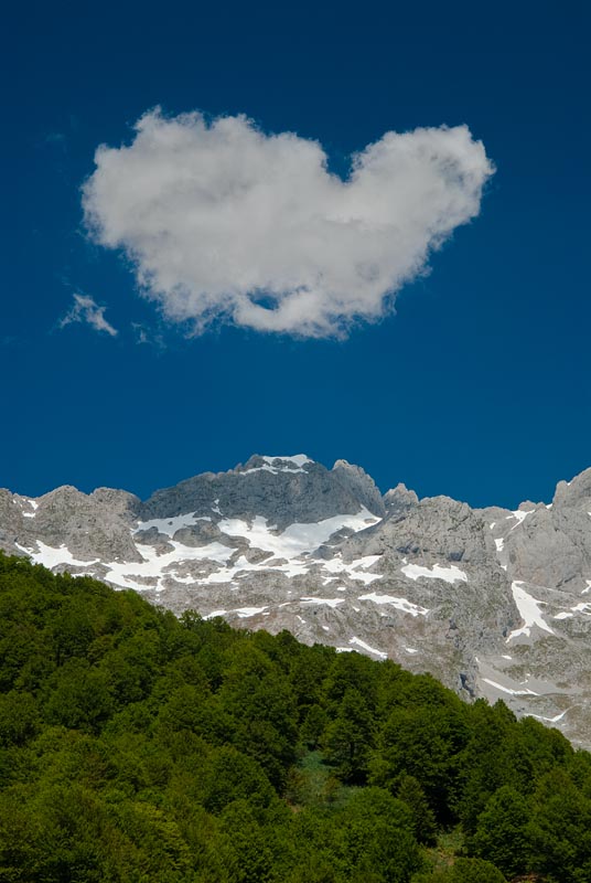 Caliza del Parque Nacional Picos de Europa contratando en el bosque de verano