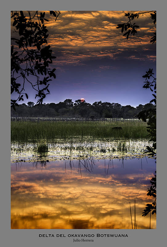 Atardecer en el Delta del Okavango. Botswuana