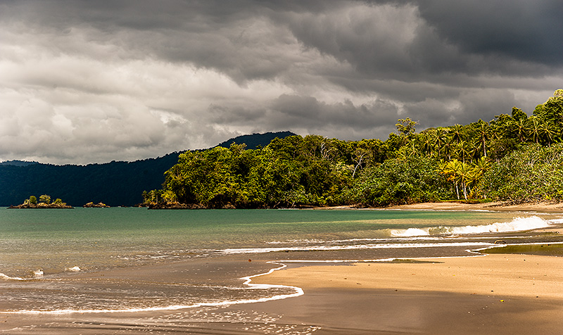 Selva y playa del Choco. Guachalito. Colombia.