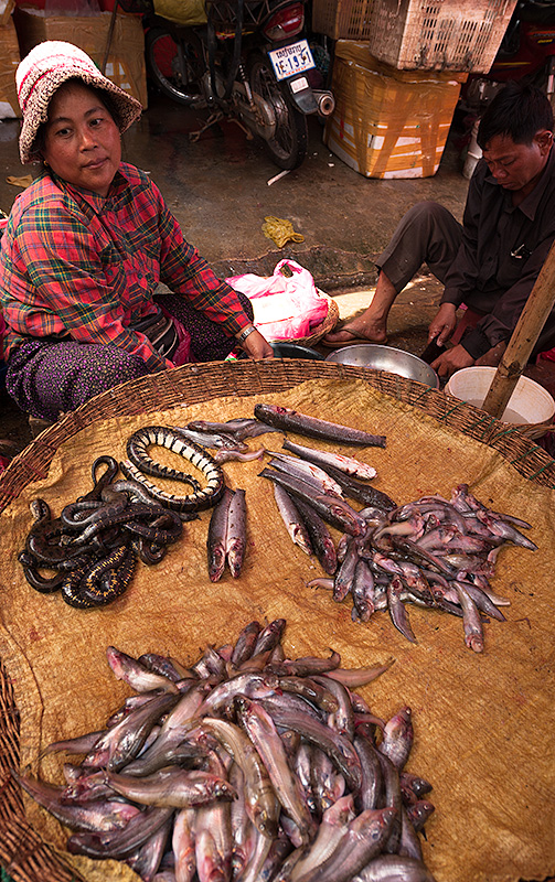 Mercado de pescado en Nom Pen. Camboya