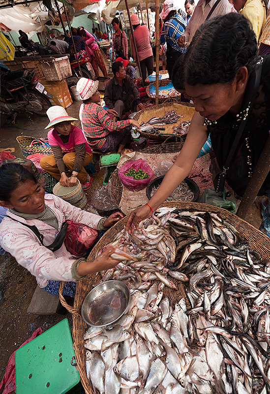 Mercado de pescado de Nom Pen. Camboya.