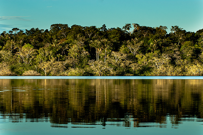 Río Amazonas en el Parque Natural de Cuyabeno en Ecuador.