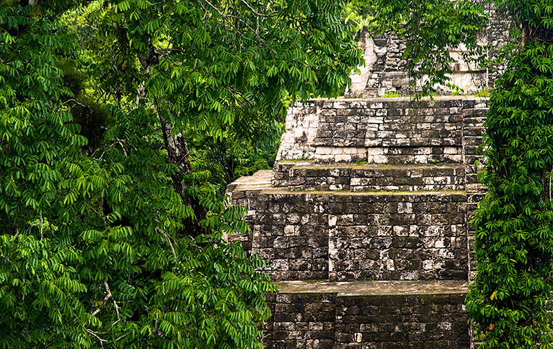 Selva de Petén. Guatemala.